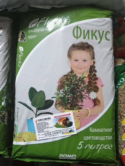 Флорика Фикус-Пальма 5л/ 5шт/уп
