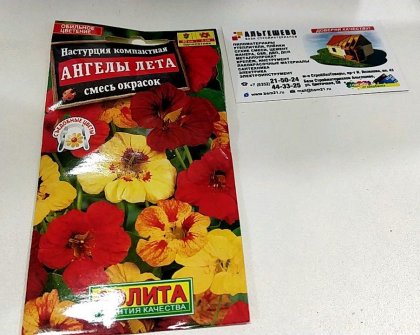 Настурция Ангелы лета немахровая, смесь Ц(А)