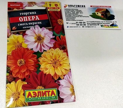 Георгина Опера смесь Ц(А)