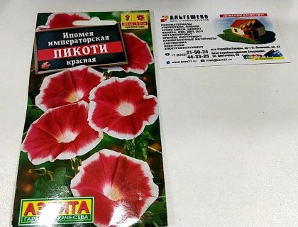 Имопея Пикоти красная Ц(А)