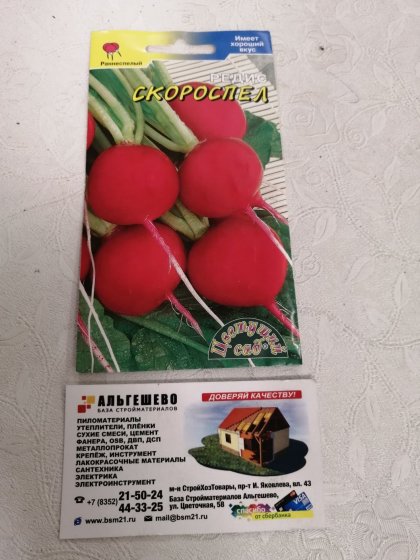 редис Скороспел/Цветущий Сад