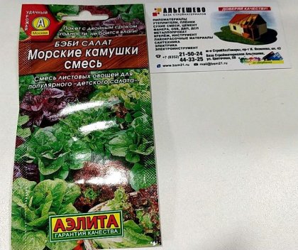 салат Бэби Городской камушек смесь Ц(А)