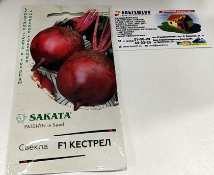 свекла Кестрел F1 1гр.Ц(Г)