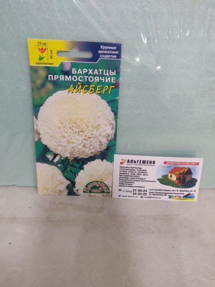 Бархатцы Айсберг (белые, крупные, махровые)/Цветущий Сад