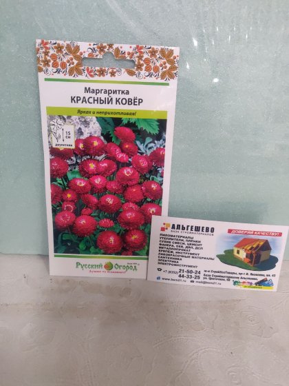 Маргаритка Красный ковер Ц(Н)