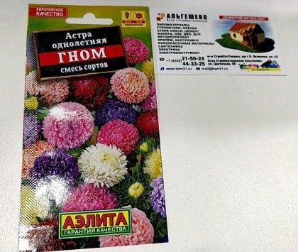 Астра Гном Смесь Ц(А)