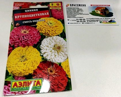 Цинния Крупноцветковая Смесь Ц(А)