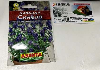 пряность Лаванда Синева Лидер