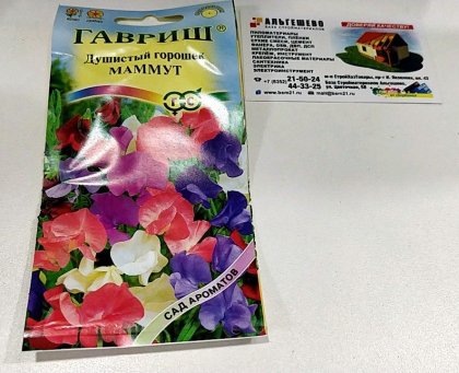 Душистый горошек Маммут смесь Ц(Г)