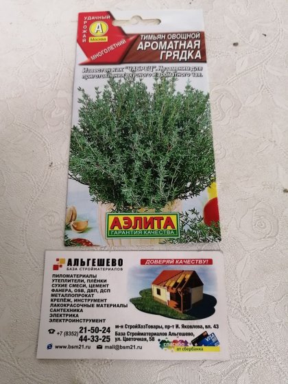 пряность Тимьян Ароматная грядка Ц(А)