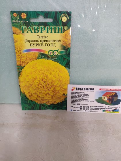 Бархатцы Бурке Голд Ц(Г)