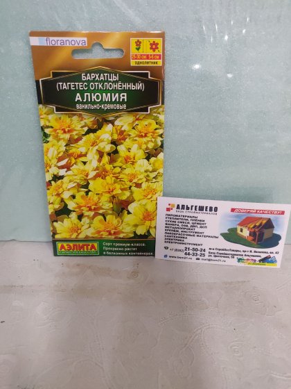 Бархатцы Алюмия ванильно-кремов. Ц(А)