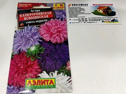 Астра Калифорнийская исполинская смесь Ц(А)