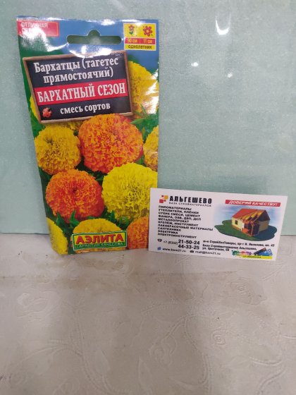 Бархатцы Бархатный сезон прямостоячие Ц(А)