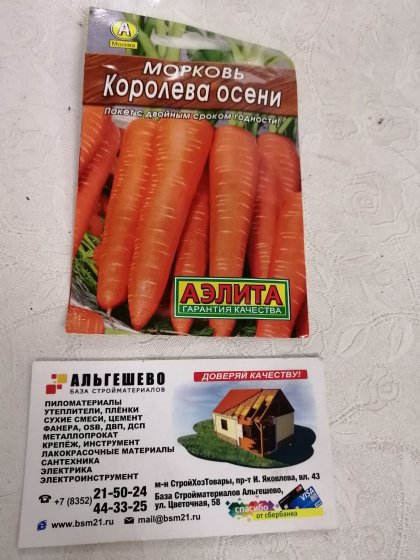 морковь Королева осени Лидер