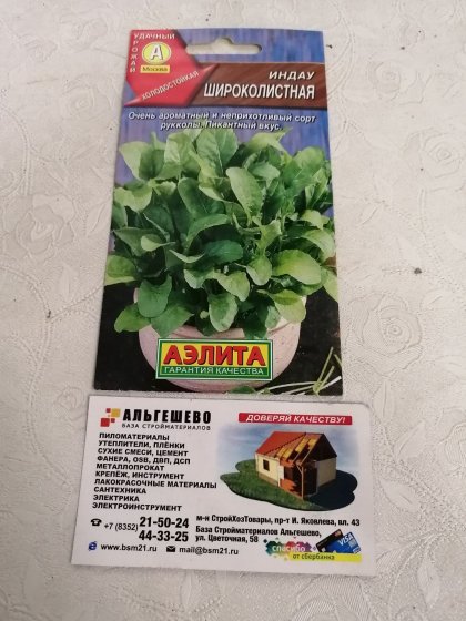 салат Рукола Широколистная Ц(А)