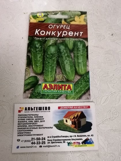 огурец Конкурент Лидер
