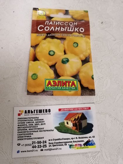 патиссон Солнышко Лидер