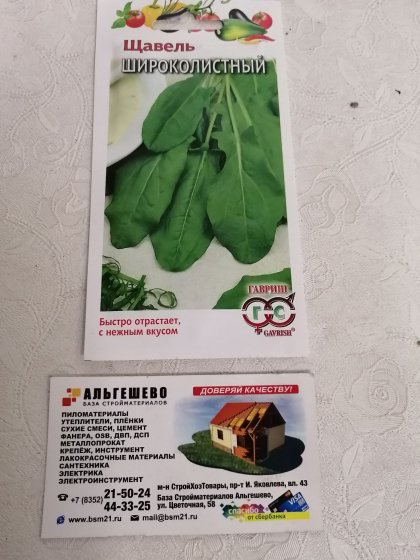 щавель Широколистный Ц(Г)