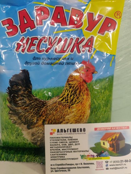 Кормовая добавка для кур Здравур Несушка 250 гр.