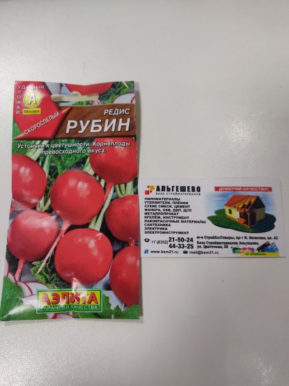 Редис Рубин Ц(А)