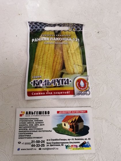кукуруза Ранняя лакомка Кольчуга