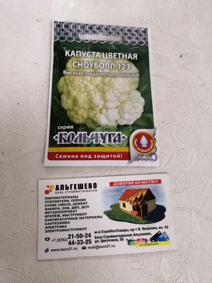 капуста цветная Сноуболл 123 Кольчуга