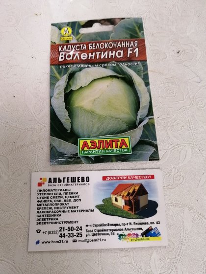 капуста Валентина Лидер