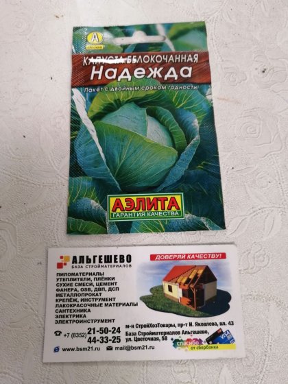 капуста Надежда Лидер