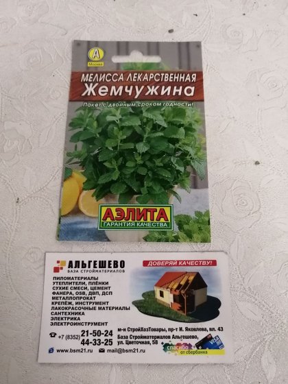 пряность Мелисса Жемчужина Лидер