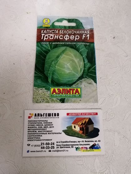 капуста Трансфер Лидер