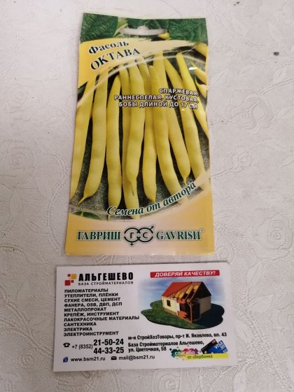 фасоль Октава 10шт.Ц(Г)