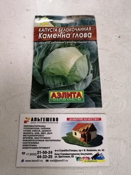 Капуста Каменна глова Лидер