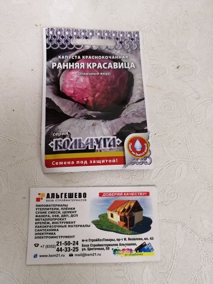 капуста к\к Раняя Красавица Кольчуга