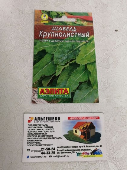 щавель Крупнолистный Лидер