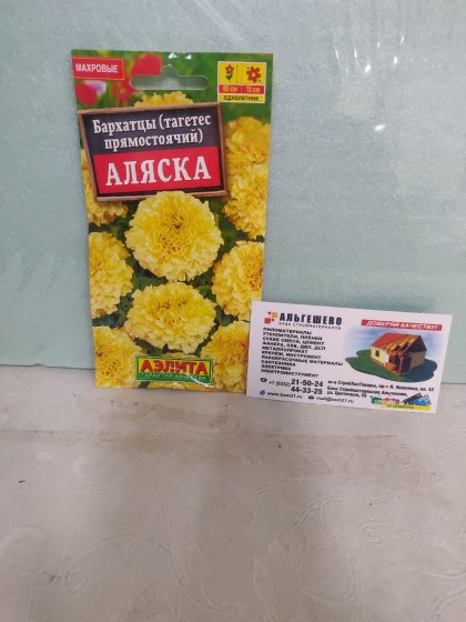 Бархатцы Аляска прямостоячие Ц(А)
