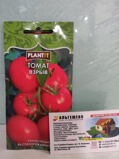 Томат Взрыв
