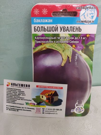 баклажан Большой увалень СС