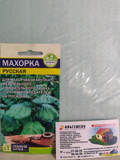 пряность Махорка Русская ( семена алтая)