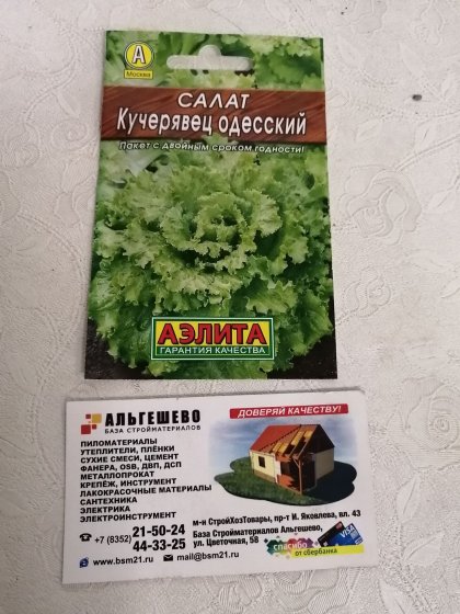 салат Кучерявец Одесский Лидер