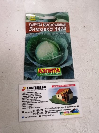 капуста Зимовка Лидер
