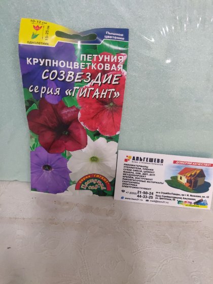 Петуния Гигант Созвездие смесь/Цветущий Сад