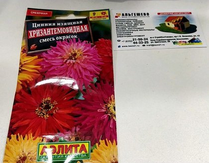Цинния Хризантемовидная смесь Ц(А)