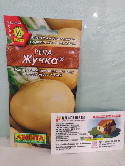 репа Жучка Ц(А)