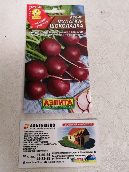 редис Мулатка шоколадка Ц(А)